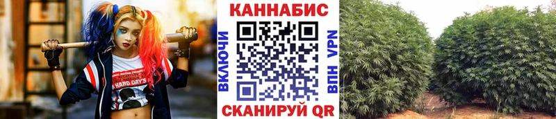 Купить закладки  Воткинск  Конопля SATIVA & INDICA 